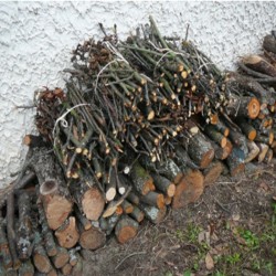 Die Holzspalterin 2 und 3 Holzscheite.