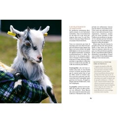 Raising goats and making cheese