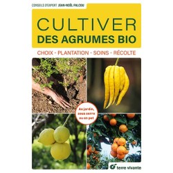 Coltivare agrumi biologici