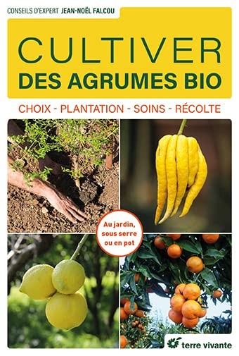 Growing organic citrus fruits