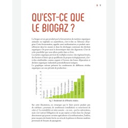 Das praktische Handbuch Biogas - Von der Herstellung bis zur Verwendung