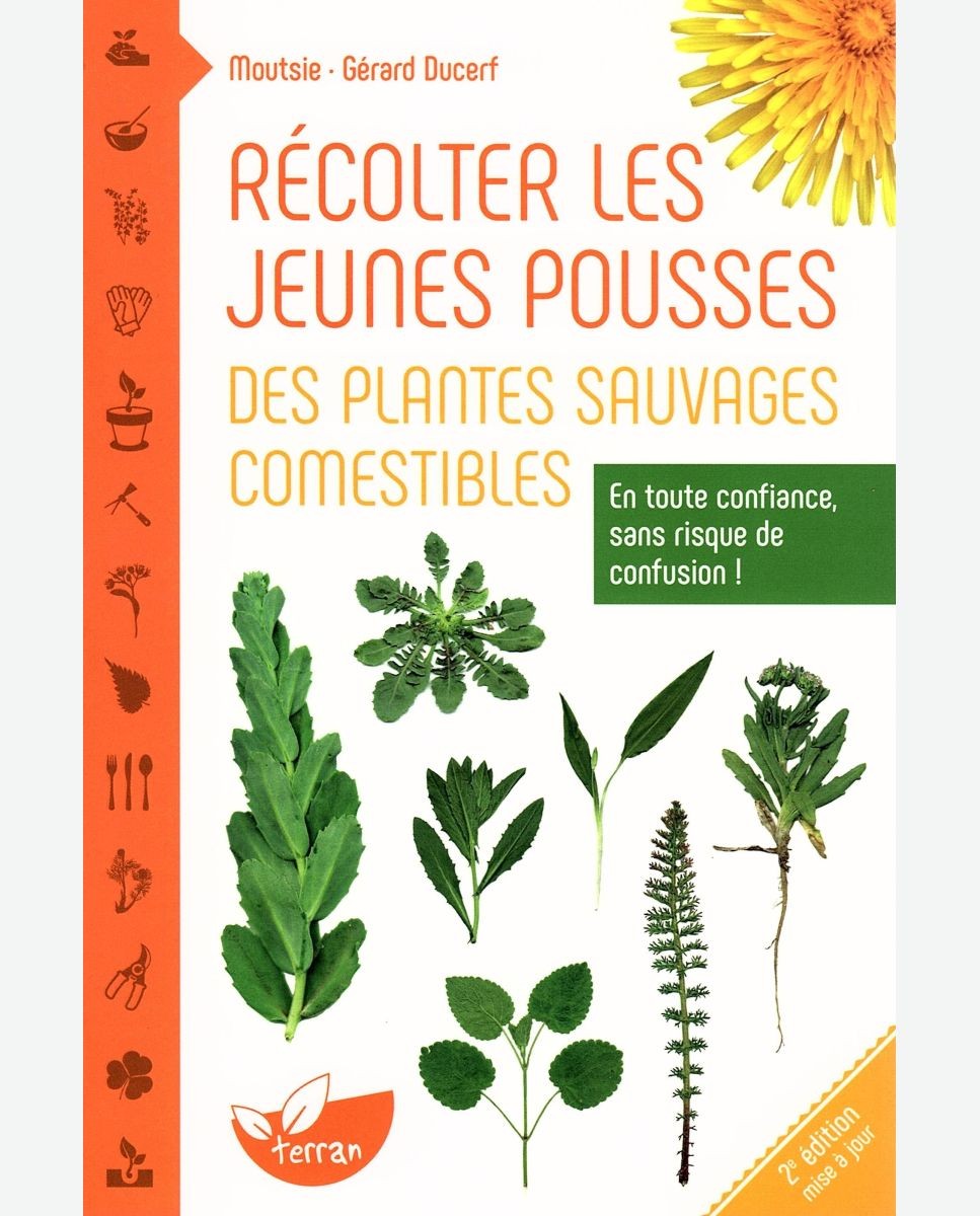 Recolectar los brotes jóvenes de plantas silvestres comestibles.