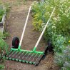 Maraîcher tuinmol met tegengestelde veren