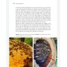 Biodiversity Hives - Practical Manual for the Benefit of Bees