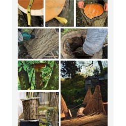 Biodiversity Hives - Practical Manual for the Benefit of Bees