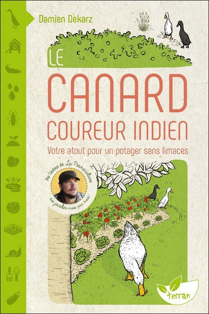 O Pato Corredor Indiano - Seu aliado para um jardim sem lesmas.