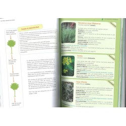 Los cuidados naturales de los árboles