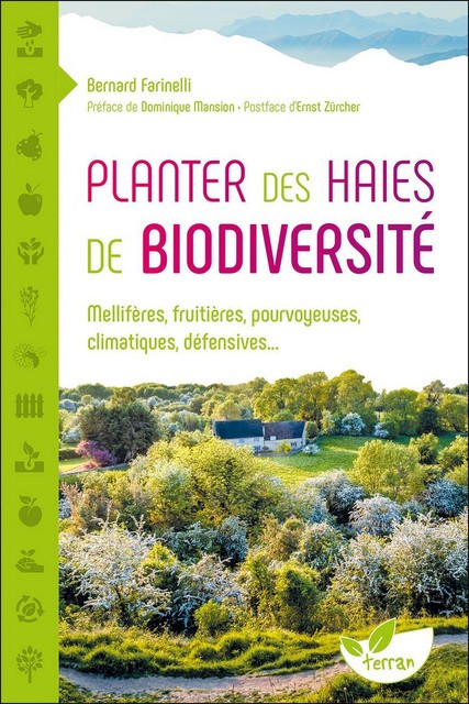 Plantar sebes de biodiversidade