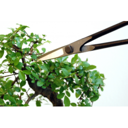 Forbici per bonsai Okatsune 206