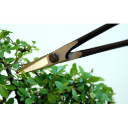 Bonsai Scissors Okatsune 206