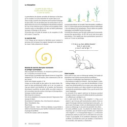 Welcome to syntropy. A garden of abundance, from principles to the field.