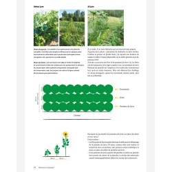 Welkom in de wereld van syntropie. Een overvloedige tuin, van principes tot praktijk.