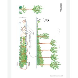 Benvenuti nella sinergia Un giardino di abbondanza, dai principi al terreno