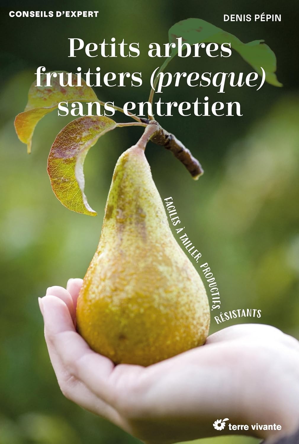 Low-maintenance fruit trees: Easy to prune, productive, and resistant.