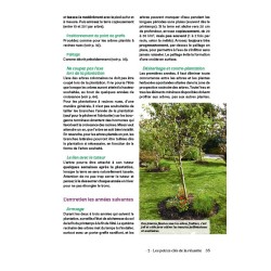 Piccoli alberi da frutto (quasi) senza manutenzione: Facili da potare, produttivi, resistenti.