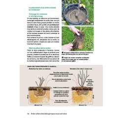 Kleine fruitbomen (bijna) zonder onderhoud: Gemakkelijk te snoeien, productief, bestand tegen ziektes