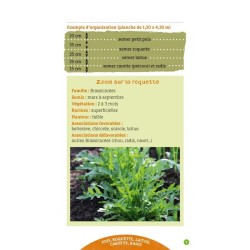 Earth Alive Cheat Sheets: Companion Planting