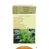 Earth Alive Cheat Sheets: Companion Planting