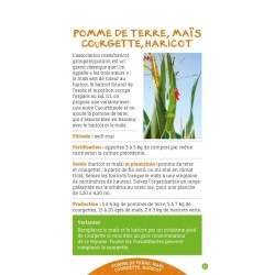 Earth Alive Cheat Sheets: Companion Planting