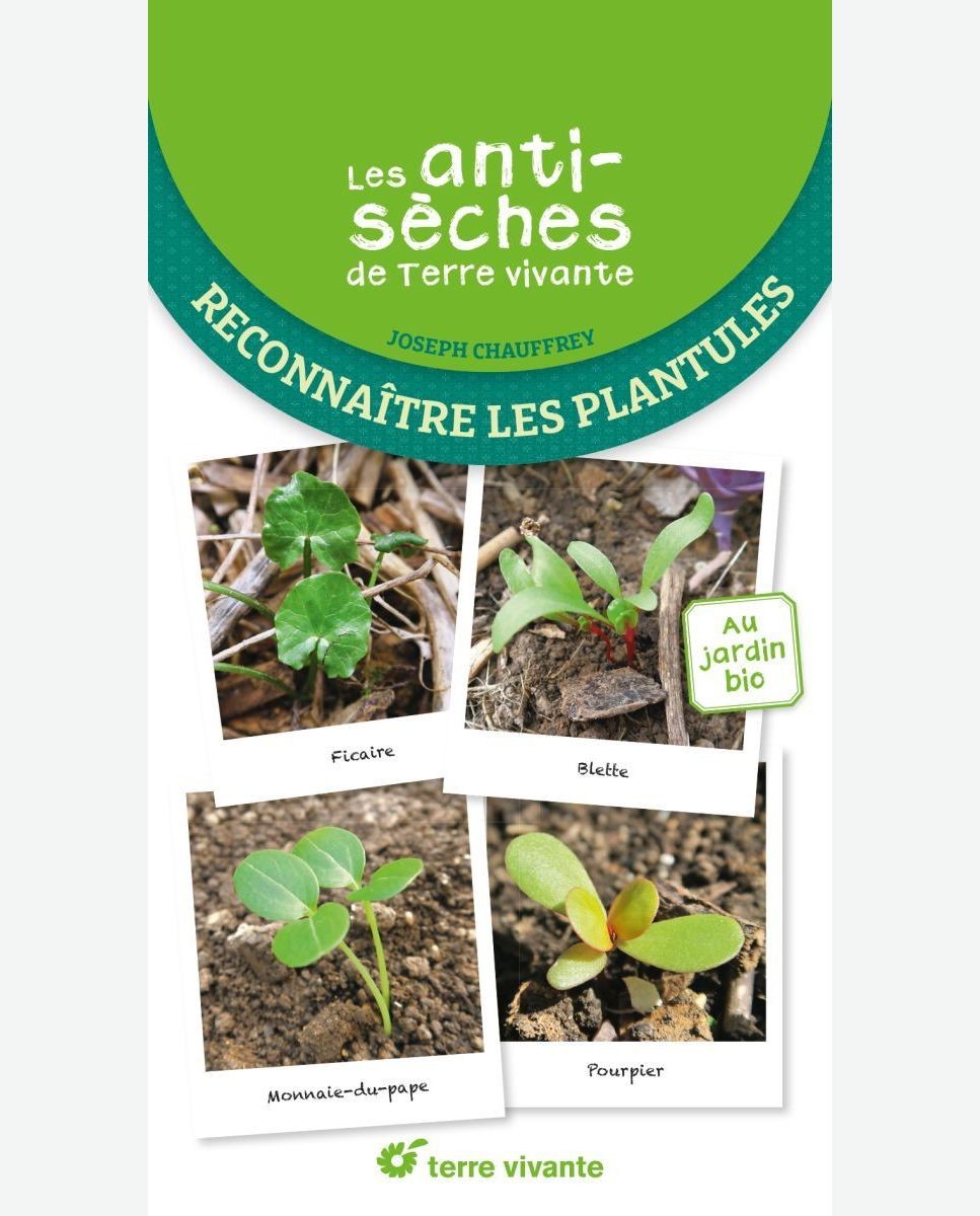 Terre Vivante's cheat sheets: Recognizing seedlings