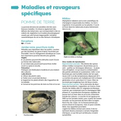 Diseases and pests in the organic vegetable garden: Prevent, identify, treat... without chemical products!