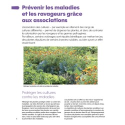 Diseases and pests in the organic vegetable garden: Prevent, identify, treat... without chemical products!