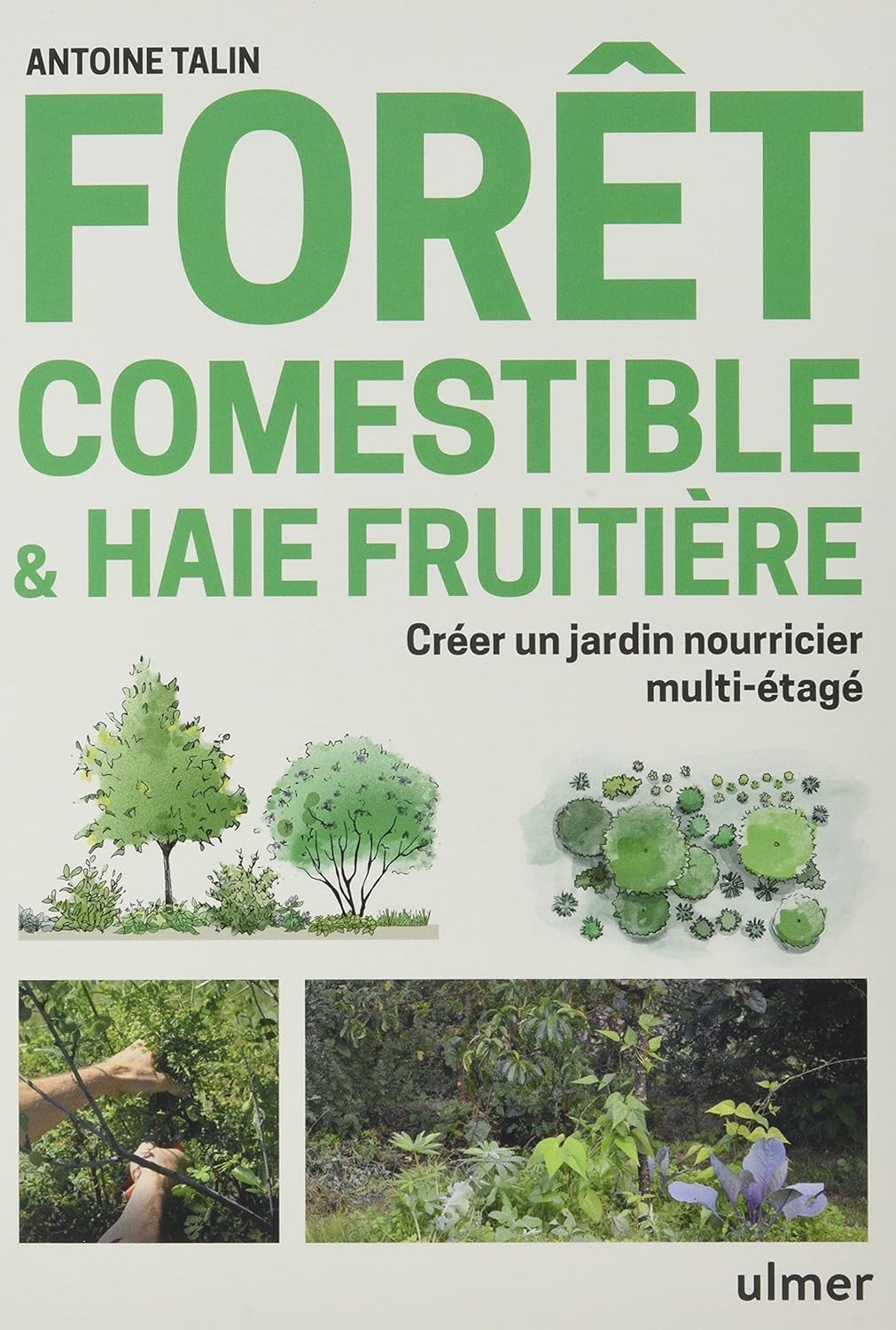 Edible forest & fruit hedge