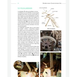 Guía de trabajo manual de la madera