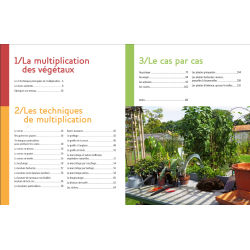 Multiplying all plants: seeds, cuttings, grafting, layering, division.