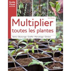 Multiplicar todas as plantas através de sementes, estacas, enxertos, alporquia e divisão.