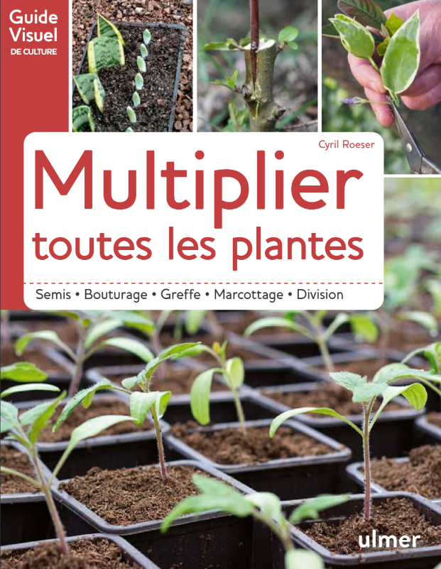 Multiplying all plants: seeds, cuttings, grafting, layering, division.