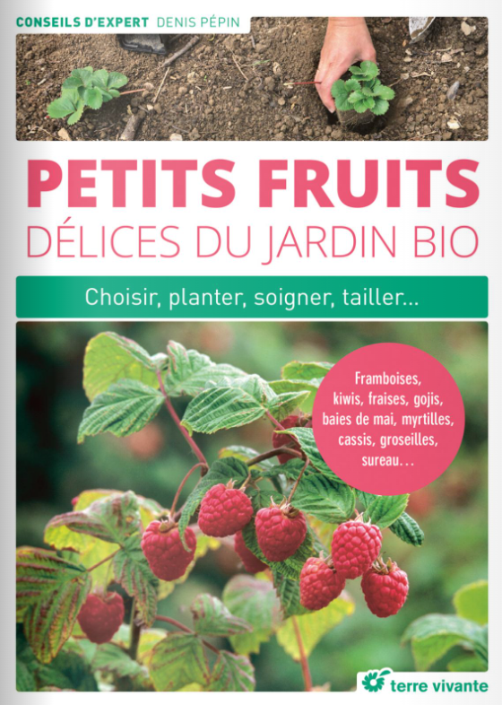 Petits fruits, délices du jardin bio Choisir, planter, soigner, multiplier…