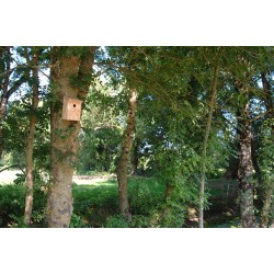 LPO Eco Nest Box