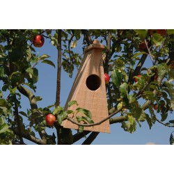 LPO nest box for Hoopoe