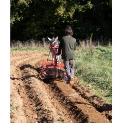 Machinisme Agricole Moderne à Traction Animale