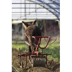 Meccanizzazione agricola moderna a trazione animale