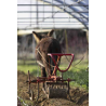 Mecanização Agrícola Moderna com Tração Animal