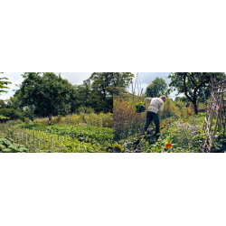 La vie simple - Autonome dans son jardin mois par mois