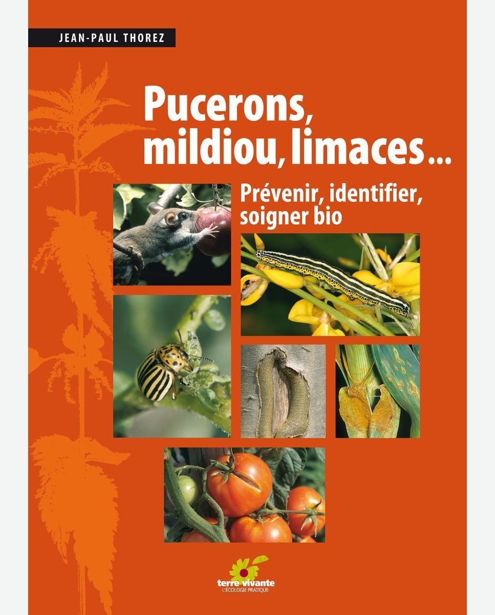 Pucerons, mildiou, limaces... : prévenir, identifier, soigner bio