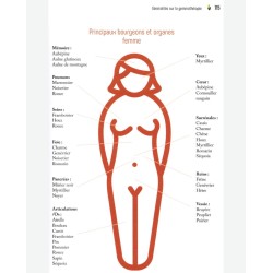 Gemmothérapie Les bourgeons au service de la santé - Guide pratique et familial