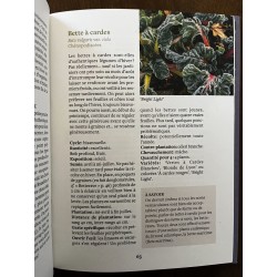 Produzir vegetais no inverno mesmo sem abrigo.