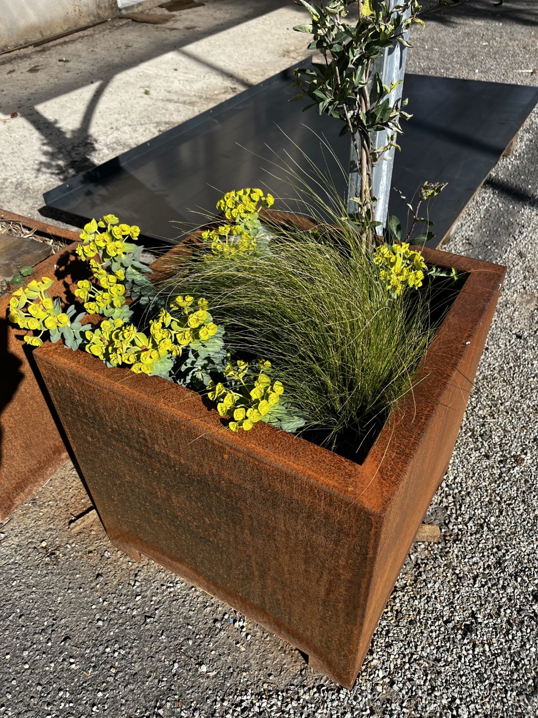 Caja de plantación