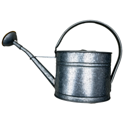 Galvanized steel watering can