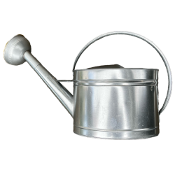 Galvanized steel watering can